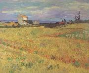 Vincent Van Gogh Wheat Field (nn04) oil